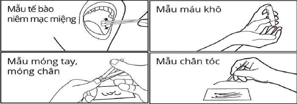 Hướng dẫn thu mẫu ADN-2